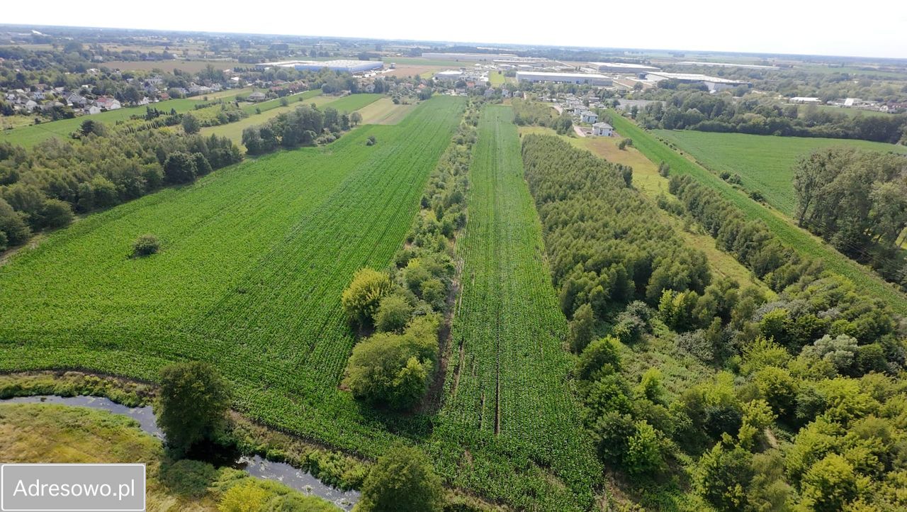 Działka inwestycyjna Natolin. Zdjęcie 2