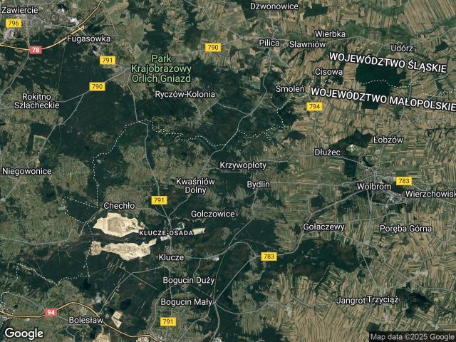 Działka leśna Krzywopłoty, ul. Leśna. Zdjęcie 1