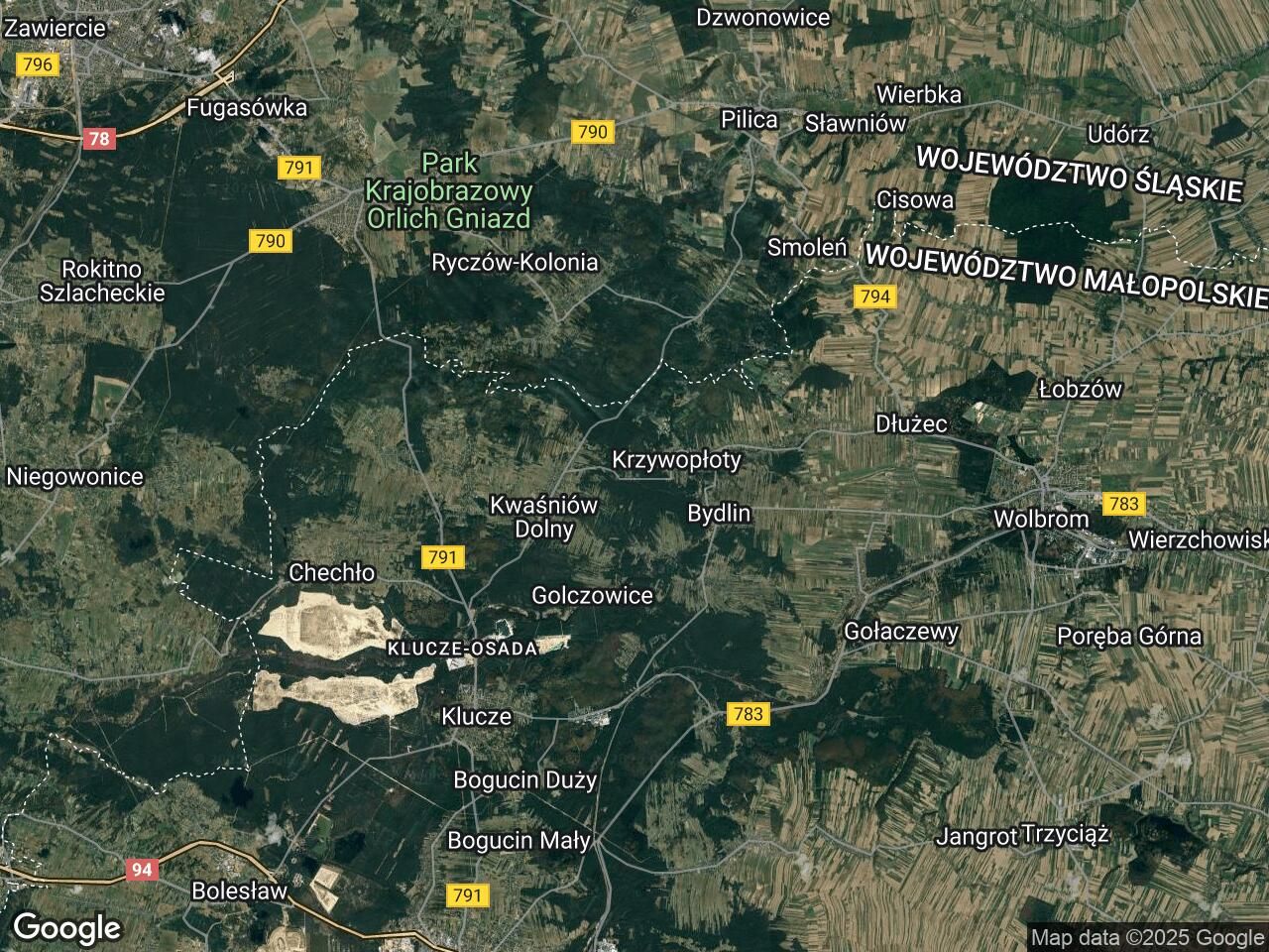 Działka leśna Krzywopłoty, ul. Leśna