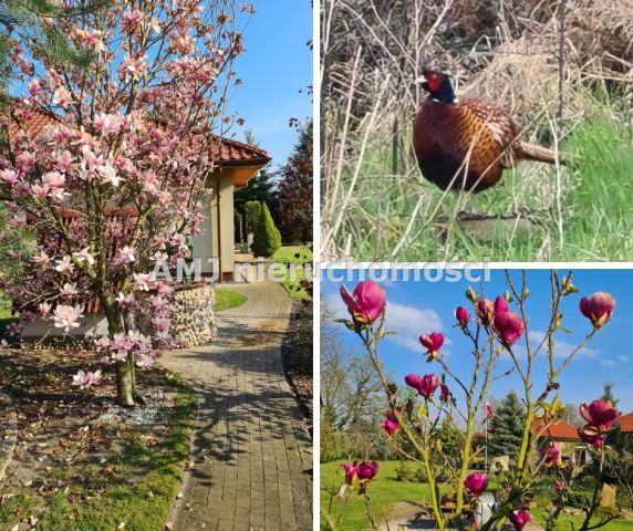 dom wolnostojący, 3 pokoje Wrocław Fabryczna. Zdjęcie 16
