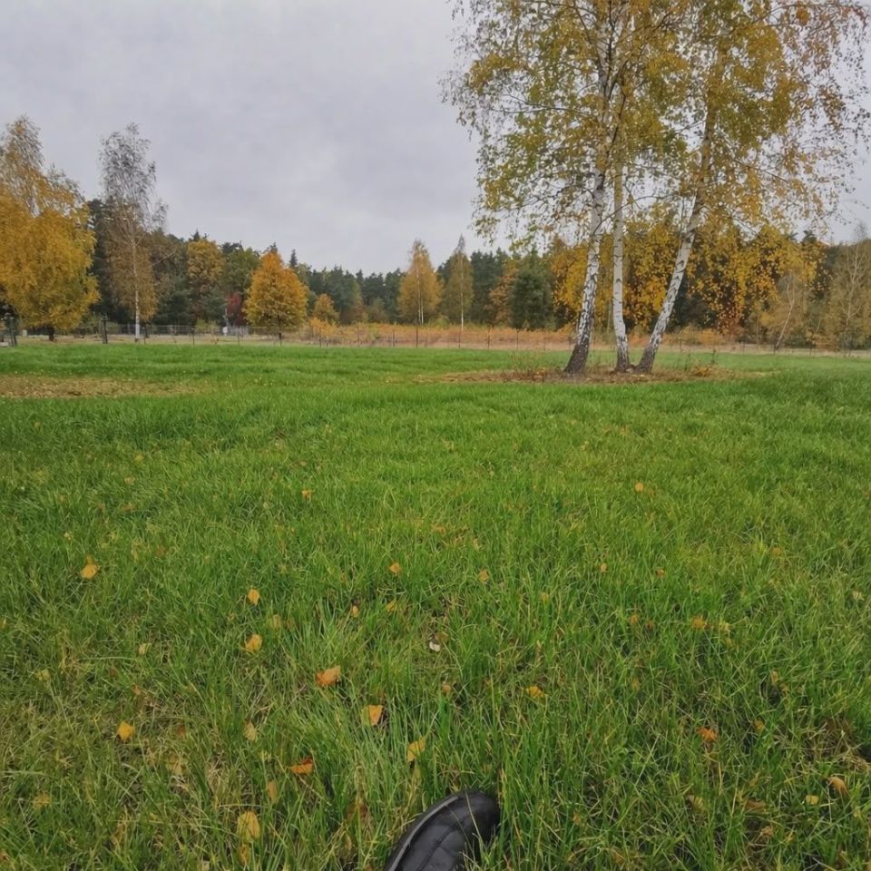 Działka inwestycyjna Michrów. Zdjęcie 1