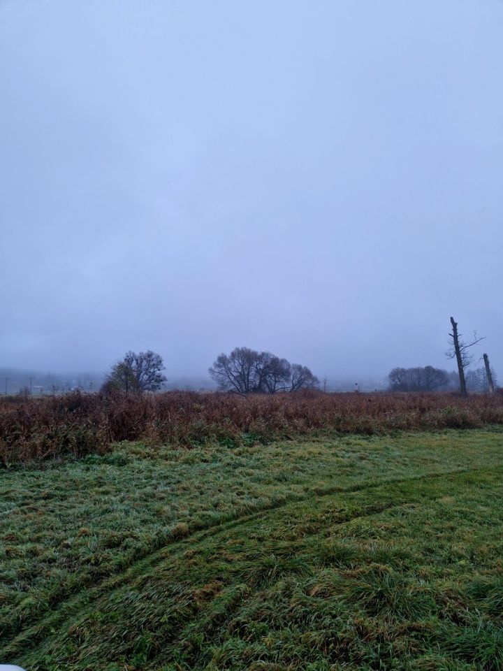 Działka rolna Kuźnica Czarnkowska. Zdjęcie 8