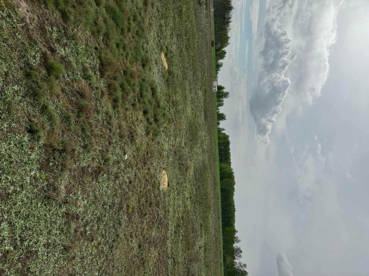 Działka budowlana Nasiegniewo. Zdjęcie 6