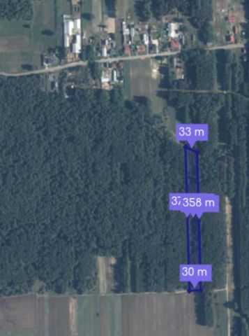 Działka leśna Dębczyna. Zdjęcie 1