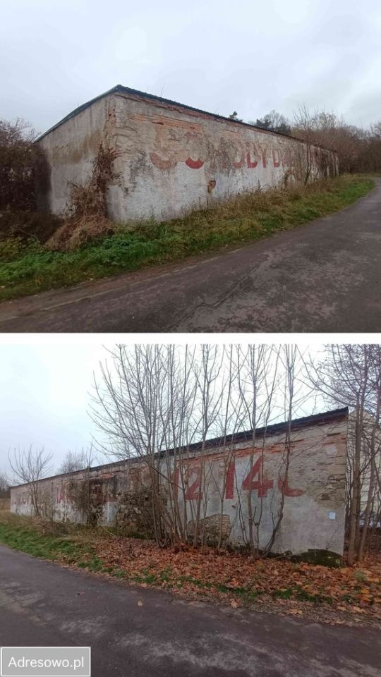 Hala/magazyn Olszyna, ul. Fryderyka Chopina. Zdjęcie 2