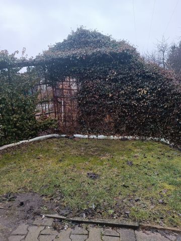 Działka rod Ostrów Wielkopolski. Zdjęcie 1