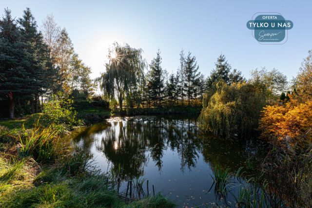 dom wolnostojący, 5 pokoi Kłoniszew. Zdjęcie 19