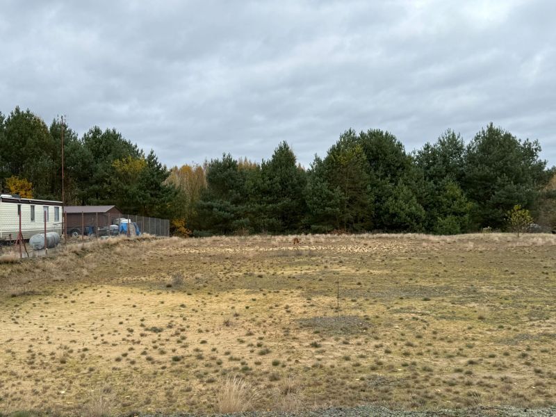 Działka rolno-budowlana Choinek. Zdjęcie 6