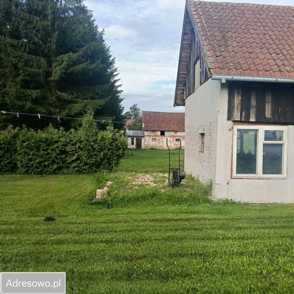 gospodarstwo Kierzki. Zdjęcie 11