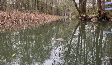 dom wolnostojący, 3 pokoje Borowe