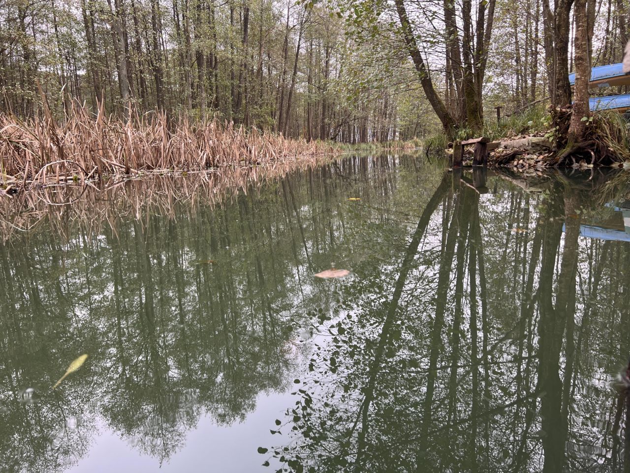 dom wolnostojący, 3 pokoje Borowe