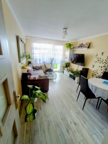 Mieszkanie 3-pokojowe Kietrz, ul. Fabryczna. Zdjęcie 1