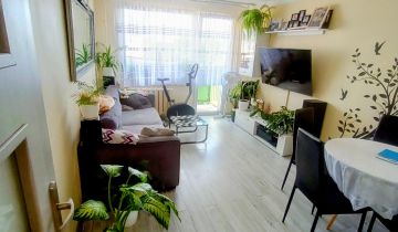 Mieszkanie 3-pokojowe Kietrz, ul. Fabryczna