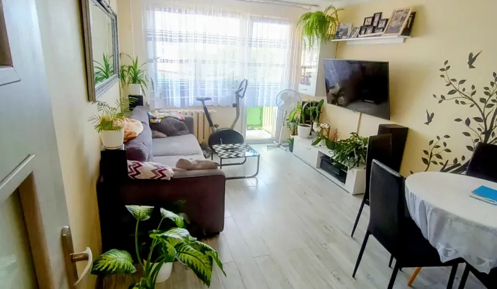 Mieszkanie 3-pokojowe Kietrz, ul. Fabryczna