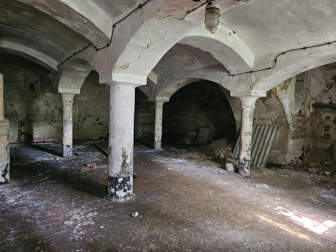 Nieruchomość komercyjna Bucz, ul. Kasztanowa. Zdjęcie 6