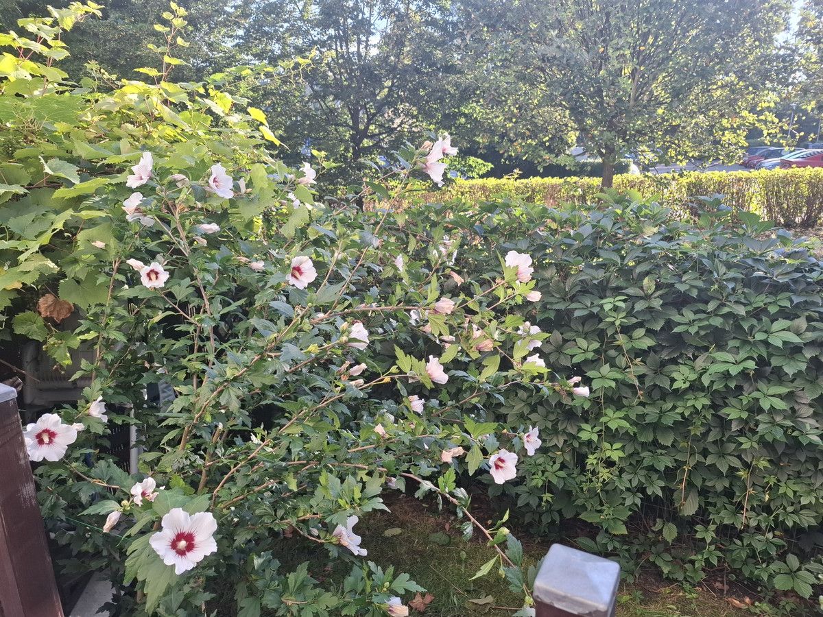 Mieszkanie 2-pokojowe Grodzisk Mazowiecki, ul. Rusałki. Zdjęcie 22