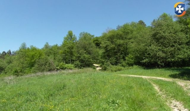 Działka rolna Żohatyn. Zdjęcie 1