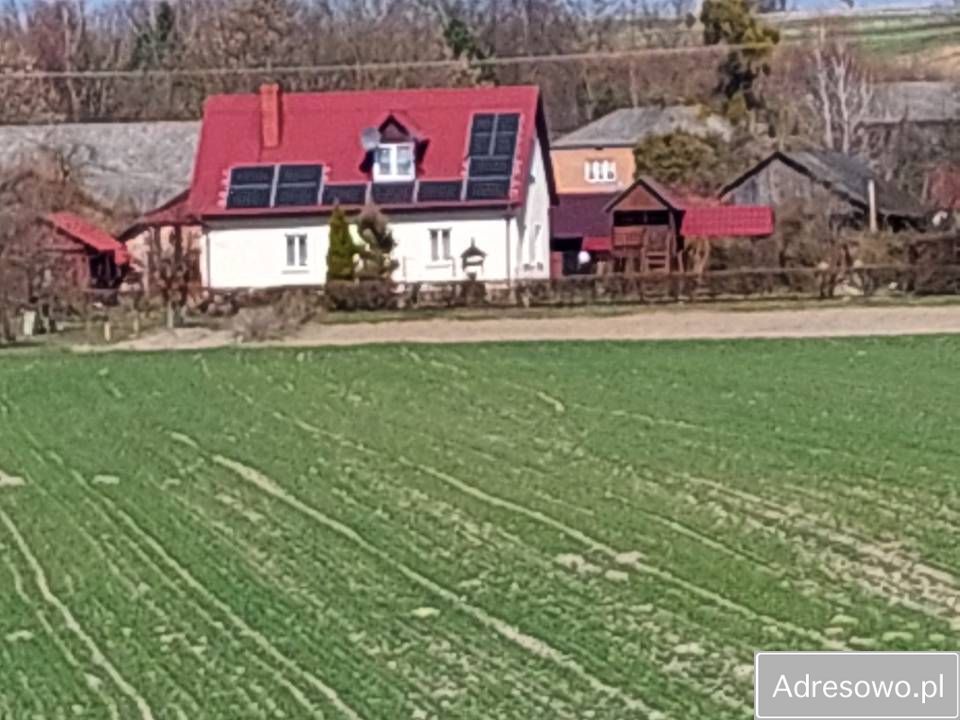 siedlisko Średnie Małe. Zdjęcie 10