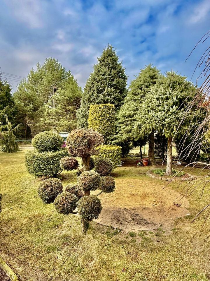 Działka rod Konstantynów Łódzki, ul. Lutomierska. Zdjęcie 7