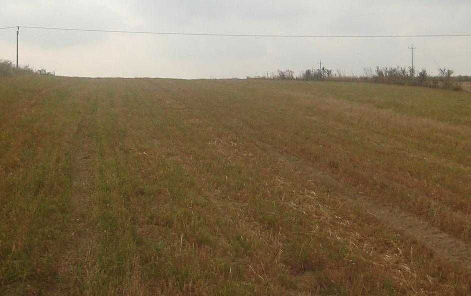 Działka rolno-budowlana Ulina Mała. Zdjęcie 6