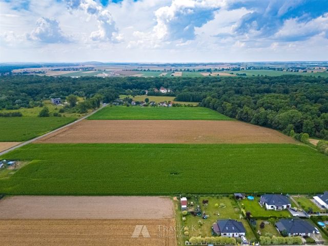 Działka siedliskowa Zachowice. Zdjęcie 4