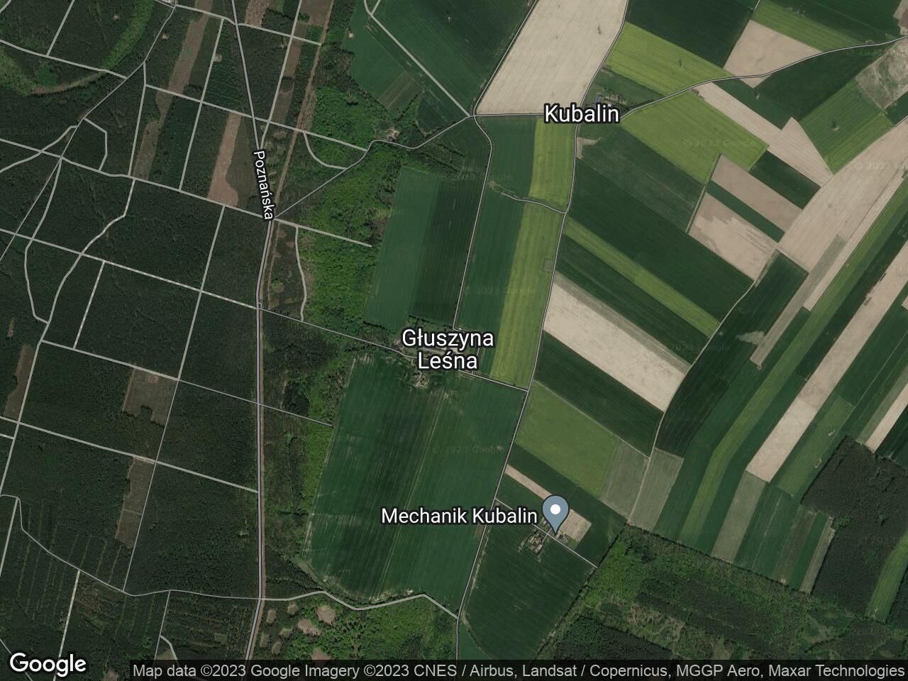 Działka rekreacyjna Poznań, ul. Głuszyna