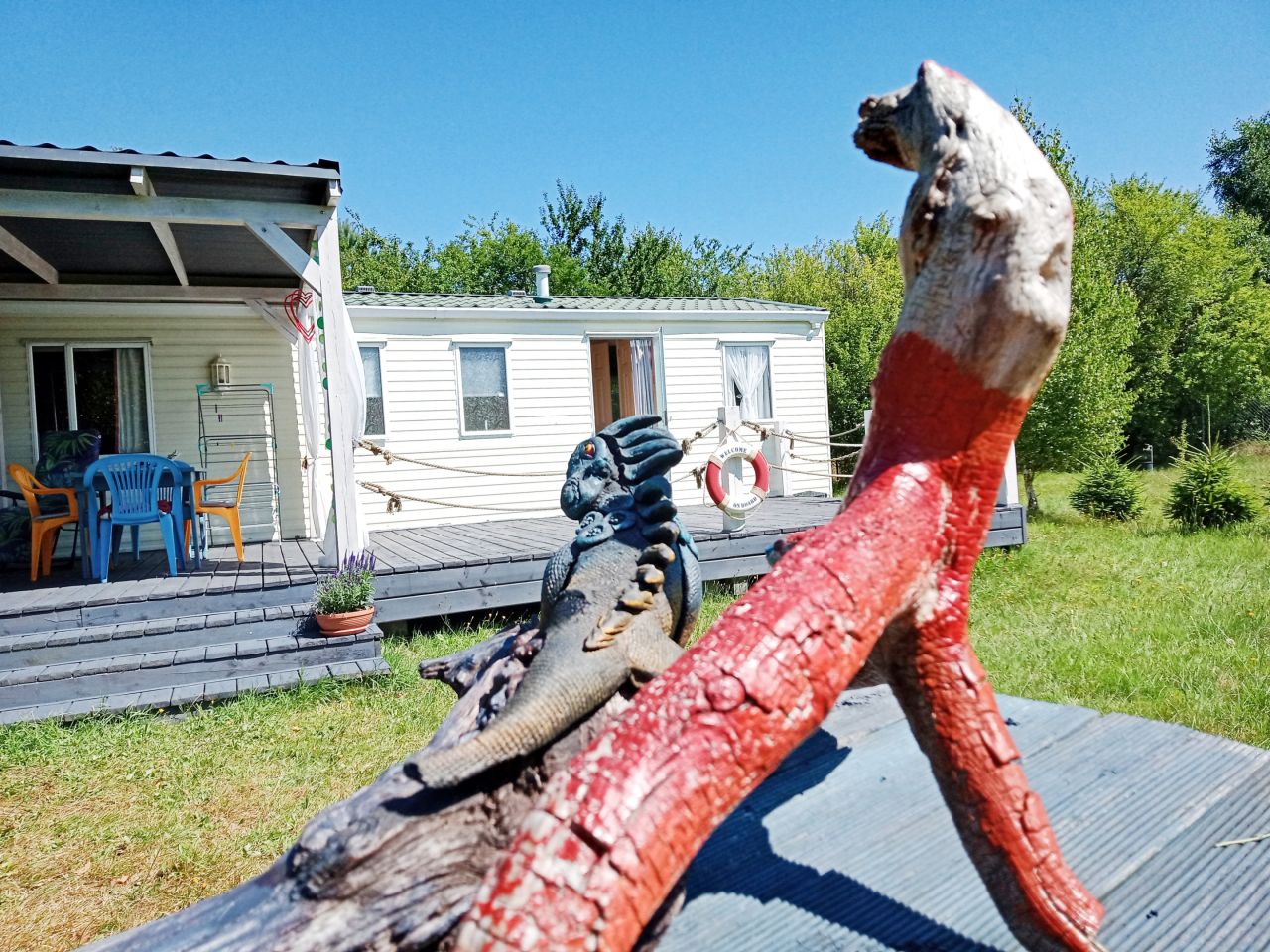 Działka rolna Białogóra, ul. Osiedlowa. Zdjęcie 10