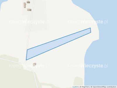 Działka rolno-budowlana Wierzbowo. Zdjęcie 4