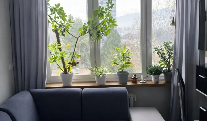 Mieszkanie 2-pokojowe Bielsko-Biała Złote Łany, ul. Ignacego Krasickiego