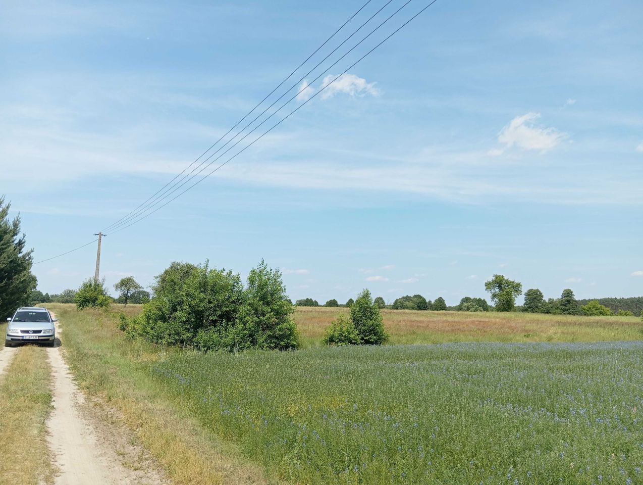 Działka budowlana Rogóźno. Zdjęcie 7