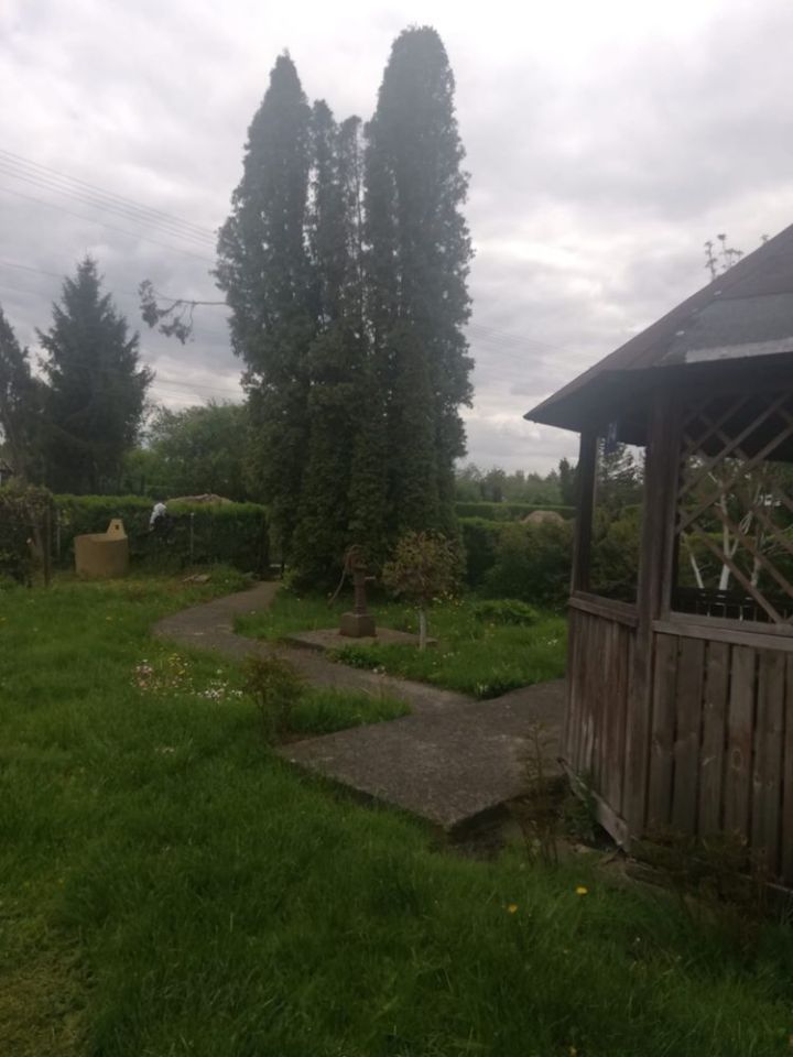 Działka rod Wołomin, ul. Kurkowa. Zdjęcie 3