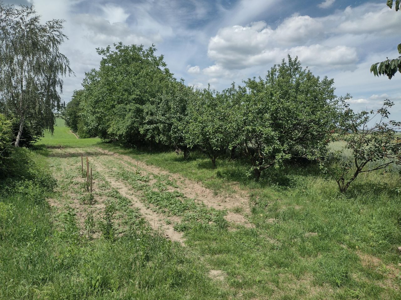 dom wolnostojący, 2 pokoje Przeuszyn Podchoinki. Zdjęcie 5