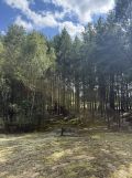 Działka rolno-budowlana Zborów. Zdjęcie 3