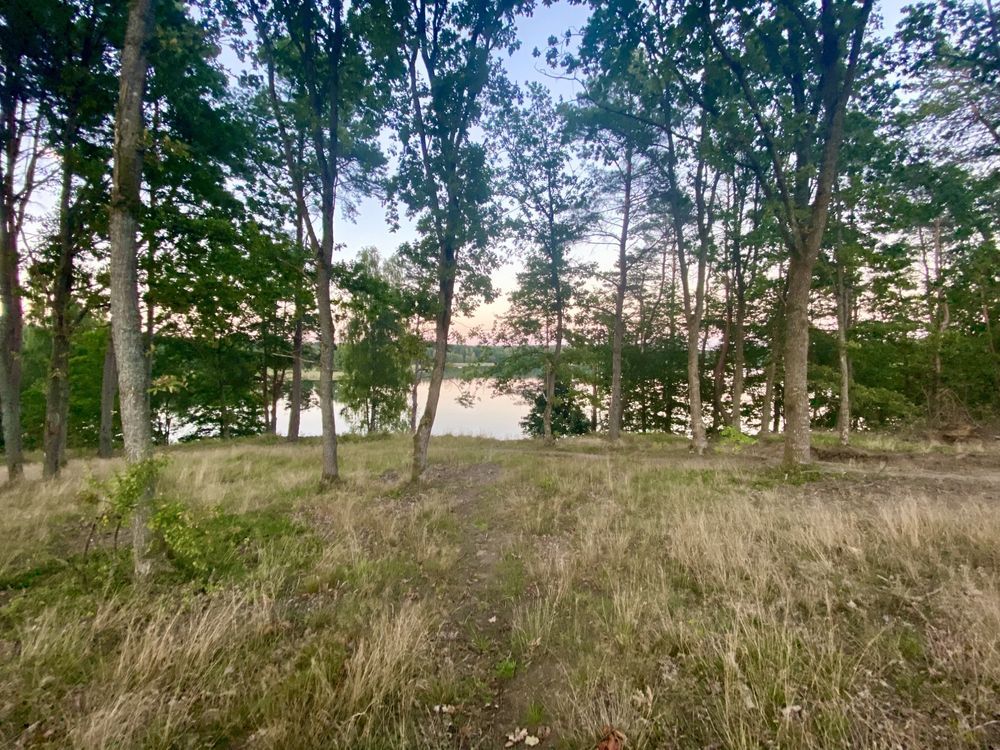 Działka rekreacyjna Spore. Zdjęcie 3