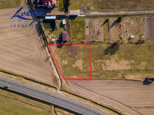 Działka budowlana Święciechowa. Zdjęcie 3