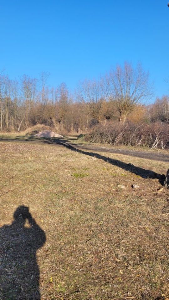 Działka budowlana Helenka. Zdjęcie 4