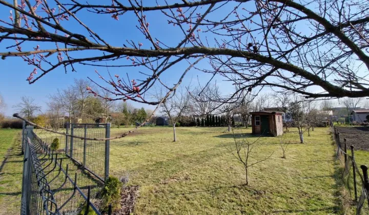 Działka rod Szlichtyngowa, ul. Daszyńskiego