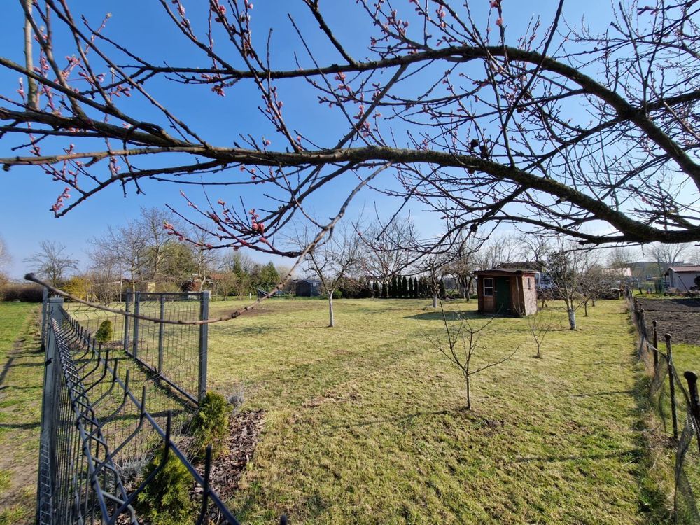 Działka rod Szlichtyngowa, ul. Daszyńskiego. Zdjęcie 1