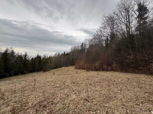 Działka rolna Szczyrk. Zdjęcie 1