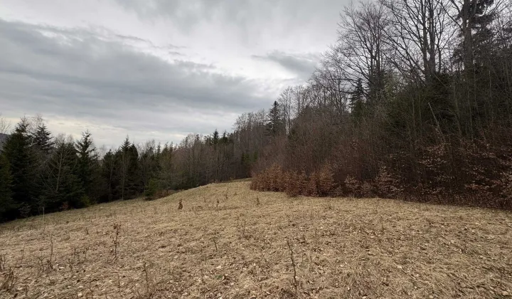 Działka rolna Szczyrk