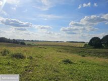 Działka rolna Żółcin. Zdjęcie 4