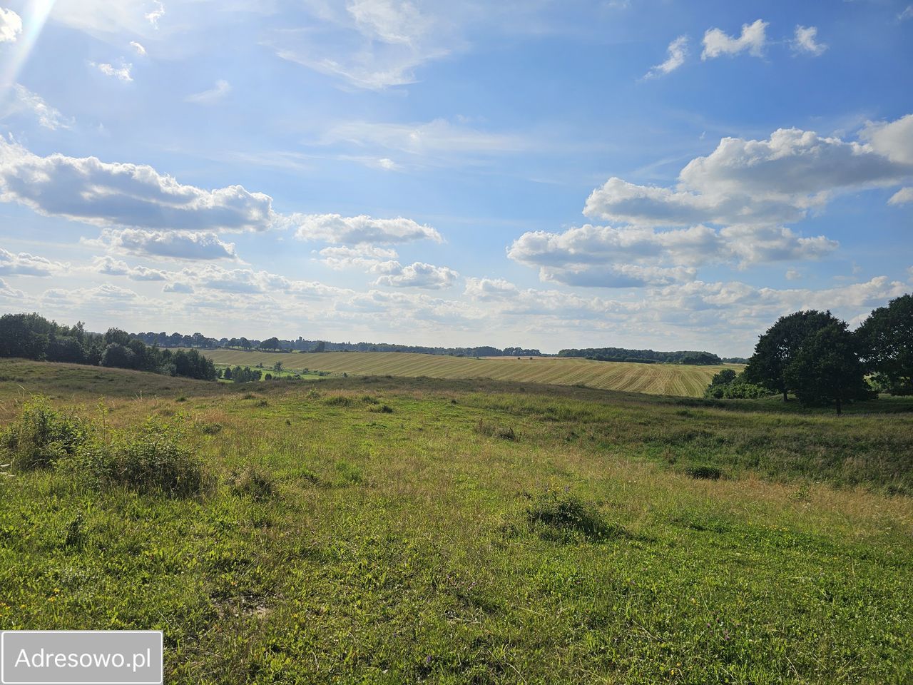 Działka rolna Żółcin. Zdjęcie 5