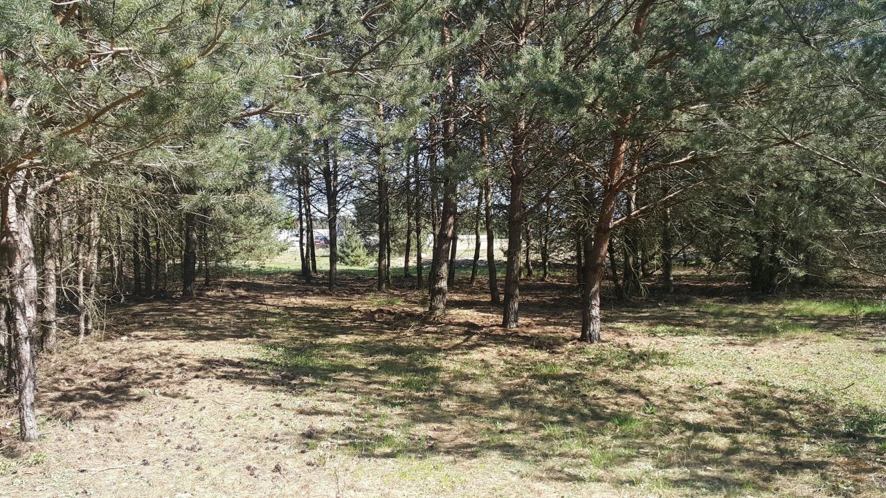 Działka budowlana Żelazna Stara. Zdjęcie 4