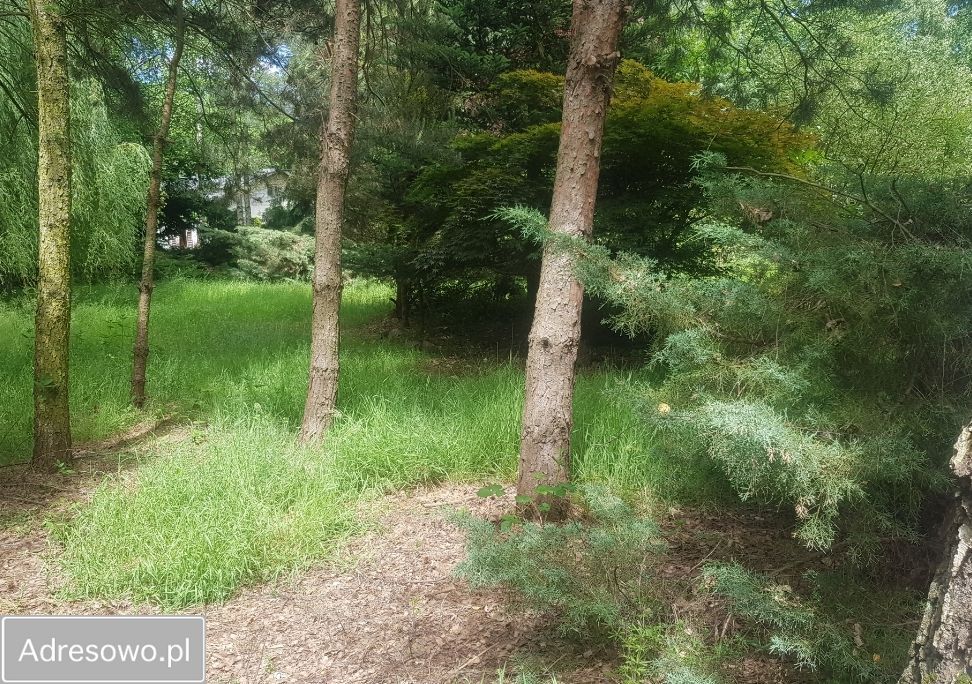 Działka budowlana Czempisz. Zdjęcie 5