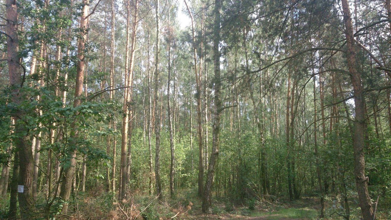 Działka rolno-budowlana Psary. Zdjęcie 2