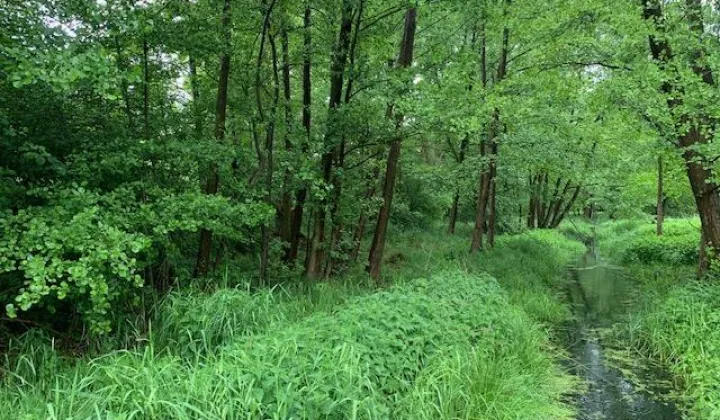 Działka rekreacyjna Zielona Góra Krępa, ul. Krępa-Odrzańska