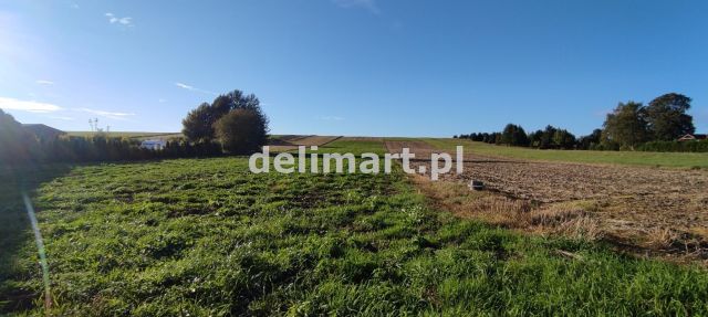 Działka budowlana Jędruszkowce. Zdjęcie 2