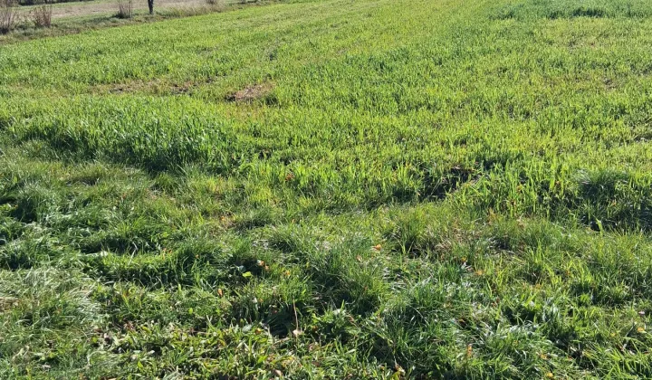 Działka budowlana Budy Jakubowice