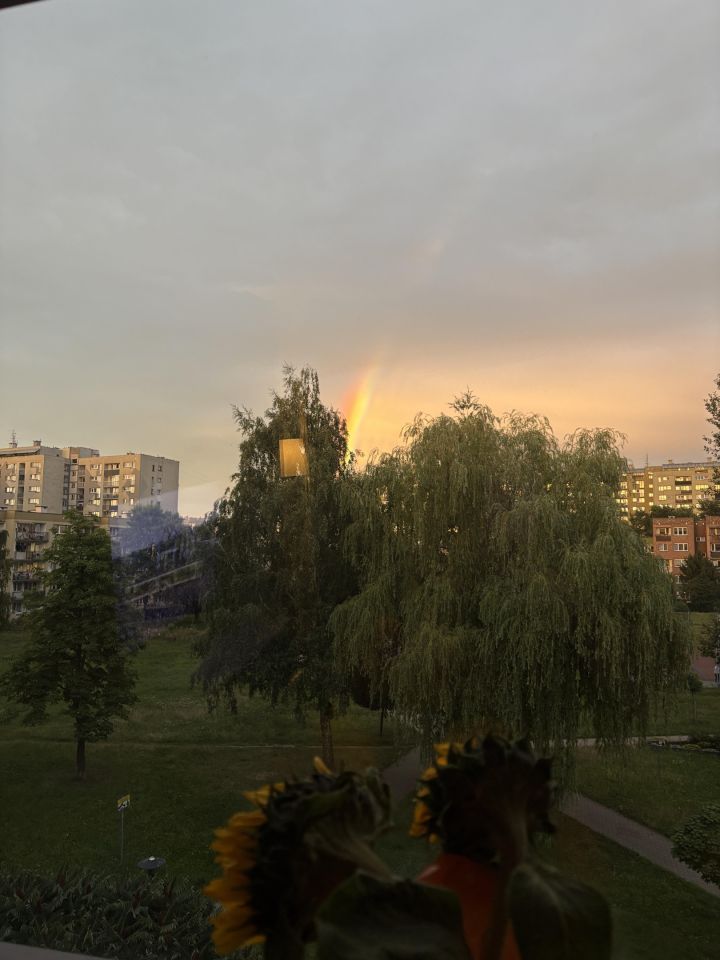 Mieszkanie 2-pokojowe Tychy Centrum, ul. Moniuszki. Zdjęcie 18