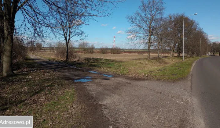 Działka budowlana Lwówek, ul. Pniewska